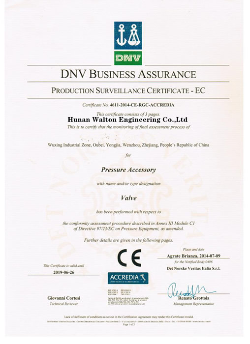 CE/PED Certificate